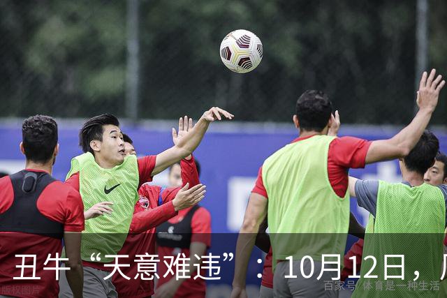 丑牛“天意难违”：10月12日，周一，有事即将要发生了