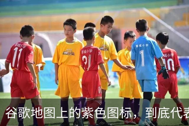 谷歌地图上的紫色图标，到底代表什么？